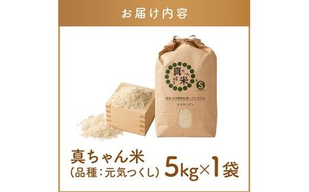 【令和7年産】農薬・化学肥料不使用 真ちゃん米 5kg (米 お米 白米 精米 新米 5キロ 国産 おにぎり 福岡 飯塚 福岡県 飯塚市)【B7-036】