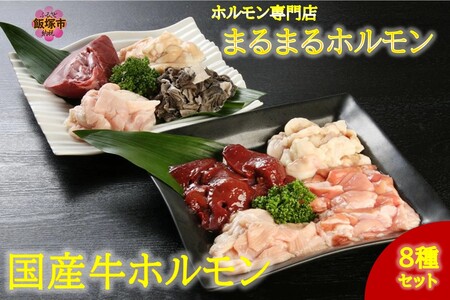 ホルモン専門店の国産牛ホルモン8種セット！【D5-043】国産 焼肉 牛ホルモン シマ腸 小腸 丸腸 センマイ ミノ ハツ レバー 新鮮 牛レバー ビタミン 鉄分 亜鉛 スタミナ ホルモンセット