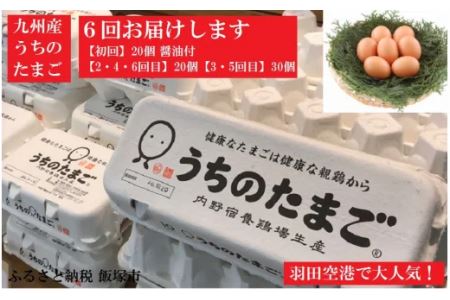 うちのたまご醤油セット(6回お届け)【F8-002】