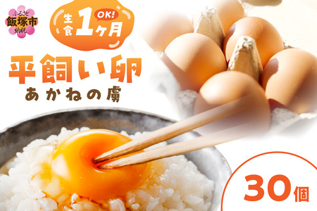〈平飼い卵〉あかねの虜（30個）【A5-463】飯塚市 たまご 平飼い 福岡 TKG たまごかけ ふるさと納税 卵