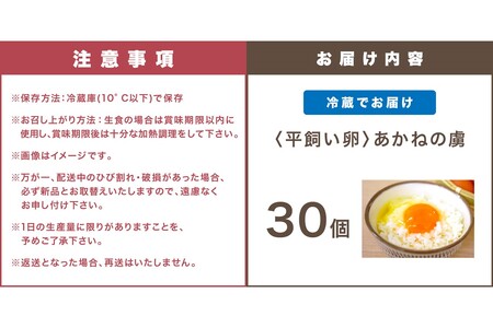 〈平飼い卵〉あかねの虜（30個）【A5-463】飯塚市 たまご 平飼い 福岡 TKG たまごかけ ふるさと納税 卵