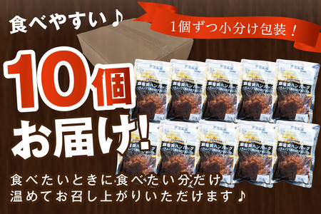 鉄板焼ハンバーグ デミソース 10個【A-817】大好評の飯塚の鉄板焼ハンバーグ