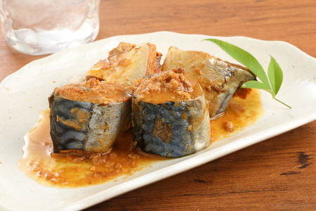 【A5-177】九州産さばを使った さば味噌煮缶セット(24缶)
