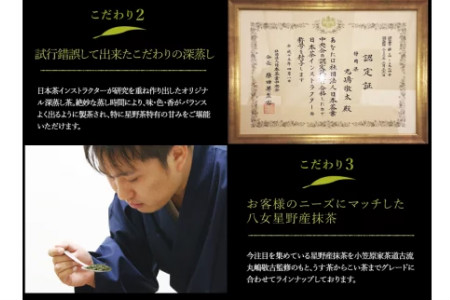 八女星野茶 星乃紫苑 煎茶100g×1 深蒸茶100g×1福岡県 八女市 お茶 茶 八女茶 煎茶 深蒸 茶葉 高級 高品質 ギフトセット ギフト 八女星野 八女 贈り物 プレゼント【A5-269】