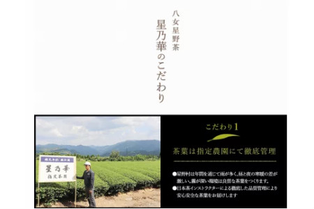 八女星野茶 星乃翁 伝統本玉露150ｇ 特上煎茶150ｇ福岡県 八女市 本金蒔絵缶 星乃華 高級茶 八女星野 煎茶 玉露 緑茶 贈り物 プレゼント【E-051】