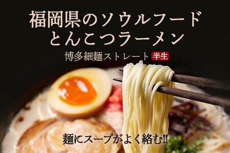 博多の味 豚骨ラーメン 20食豚骨ラーメン とんこつ らーめん 拉麺 豚骨 半生麺 常温 保存 備蓄【A-828】