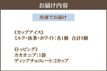 カカオ研究所 アイスチョコレートセット(3個入り)【A6-017】チョコレート ビーントゥバー Bean to Bar カカオ アイス 福岡 飯塚