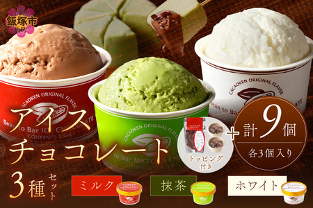 カカオ研究所 アイスチョコレートセット(9個入り)チョコレート ビーントゥバー Bean to Bar カカオ アイス 福岡 飯塚【C4-010】