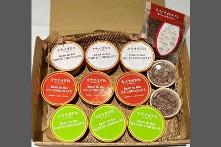 カカオ研究所 アイスチョコレートセット(9個入り)チョコレート ビーントゥバー Bean to Bar カカオ アイス 福岡 飯塚【C4-010】