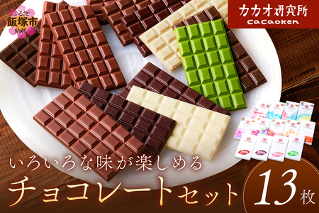 カカオ研究所のチョコレートセット(13枚)【E-089】チョコレート 板チョコレート ビーントゥバー Bean to Bar カカオ 福岡 飯塚