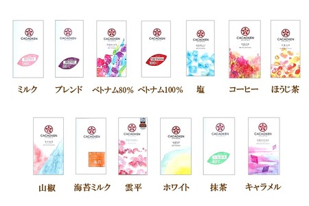 カカオ研究所のチョコレートセット(13枚)【E-089】チョコレート 板チョコレート ビーントゥバー Bean to Bar カカオ 福岡 飯塚