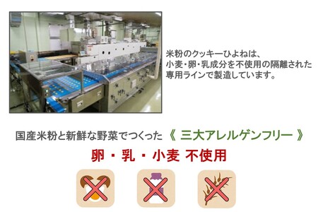 米粉のクッキーひよね 6箱セット【A5-476】