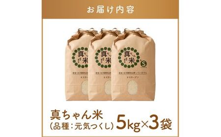 【令和7年産】農薬・化学肥料不使用 真ちゃん米 15kg(無農薬 無化学肥料 米 有機 15kg 新米)【E4-008】