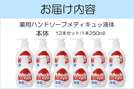 薬用ハンドソープ メディキュッ 液体 本体 250ml×12本ハンドソープ 液体 薬用 殺菌 消毒 飯塚市 福岡県 飯塚 福岡【A-830】