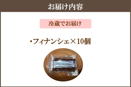 カカオ研究所 フィナンシェ10個セット【B-180】チョコレート ビーントゥバー Bean to Bar カカオ アイス 福岡 飯塚