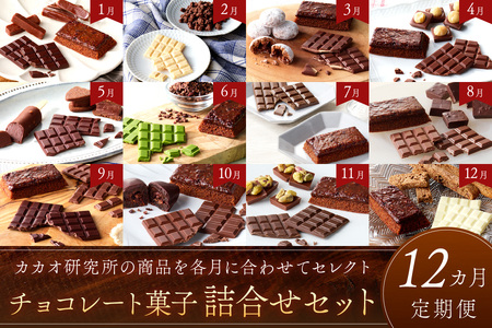 カカオ研究所 チョコレート菓子詰合せセット【12カ月定期便】【J17-001】チョコレート ビーントゥバー Bean to Bar カカオ アイス 福岡 飯塚 焼き菓子 チョコ フィナンシェ