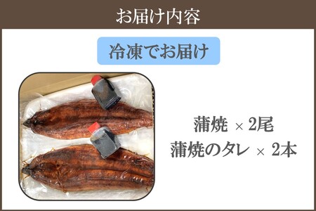 鹿児島産うなぎの蒲焼2尾セット国産 特大 うなぎ 鰻 ウナギ 蒲焼 有頭 お取り寄せ 冷凍【B7-032】