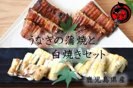 鹿児島産うなぎの蒲焼と白焼きセット 2尾国産 特大 うなぎ 鰻 ウナギ 蒲焼 白焼き 有頭 お取り寄せ 冷凍【B7-034】