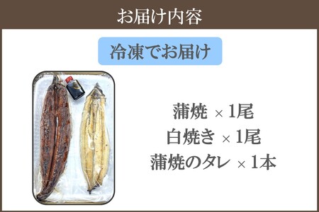 鹿児島産うなぎの蒲焼と白焼きセット 2尾国産 特大 うなぎ 鰻 ウナギ 蒲焼 白焼き 有頭 お取り寄せ 冷凍【B7-034】