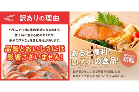 【訳あり】塩銀鮭切り身 甘塩仕立て(1.6kg)サーモン サケ シャケ 鮭 塩鮭 塩分控えめ 惣菜お弁当 グリル焼 西京焼き ムニエル 海鮮 魚介 大容量 冷凍【A5-482】
