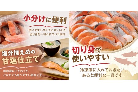 【訳あり】塩銀鮭切り身 甘塩仕立て(1.6kg)サーモン サケ シャケ 鮭 塩鮭 塩分控えめ 惣菜お弁当 グリル焼 西京焼き ムニエル 海鮮 魚介 大容量 冷凍【A5-482】