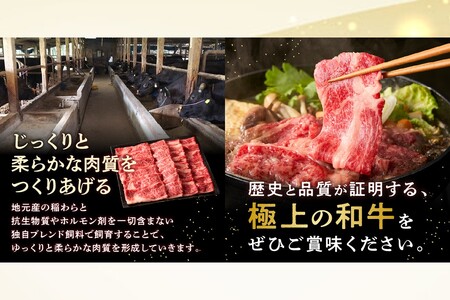 本格黒毛和牛　筑穂牛肩ロース肉すき焼き用　７００ｇ】ブランド牛 筑穂牛 牛肉 すき焼き肉 すき焼き 700g【E-081】