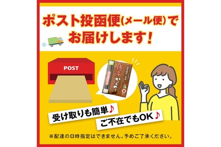 ＼ポスト投函／炊き込みご飯の素 博多かしわめし 2-3人前 (2合用 109g)地どり かしわめし 炊き込みご飯 博多地どり メール便 ポスト投函 お取り寄せ【Z3-049】