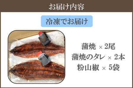 訳アリ!うなぎ蒲焼2尾セット【B-186】