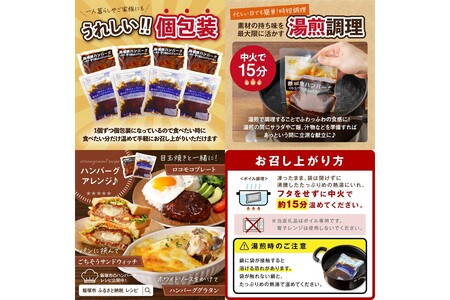 デミソースのハンバーグ2種セット(プレーン6個&チーズ6個)計12個 2種類ハンバーグ セット 2種 ハンバーグ ハンバーグセット 冷凍 チーズ チーズイン 鉄板焼 デミソース【A4-046】