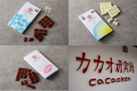 鉄板焼ハンバーグ(2種各3個)＆カカオ研究所 人気セット(チョコレート チョコ カカオ研究所 カカオ 鉄板焼 ハンバーグ デミグラスソース)【B-203】