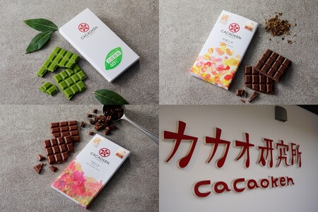 鉄板焼ハンバーグ(2種各4個)＆カカオ研究所 茶葉のチョコセット(カカオ研究所 チョコレート 抹茶 珈琲 ほうじ茶 ハンバーグ デミグラスソース)【B3-089】