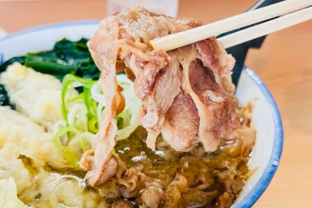 牛丼、肉うどんの具 5袋 (牛丼 肉うどんの具 味付け牛肉 真空パック) 【A6-037】