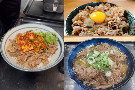 牛丼、肉うどんの具 5袋 (牛丼 肉うどんの具 味付け牛肉 真空パック) 【A6-037】