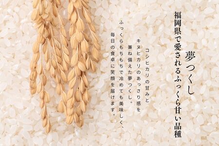 【令和7年産】福岡県飯塚市産 夢つくし 5kg(無洗米)【B1-037】