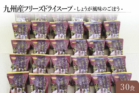 A 494 九州産フリーズドライスープ しょうが風味のごぼう 30食 福岡県飯塚市 ふるさと納税サイト ふるなび