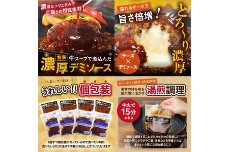 かねふく辛子明太子&デミソースのハンバーグ2種セット【毎月定期便(計12回発送)】明太 明太子 辛子明太子 めんたい めんたいこ かねふく 老舗 ハンバーグ チーズハンバーグ チーズインハンバーグ 2種 2種類 セット 詰め合わせ 人気 個包装 湯煎 簡単 時短 定期便 12回 飯塚 飯塚市【K03-001】