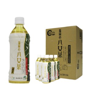 八女茶 煎茶ペットボトル 500ml×24本 【6カ月定期便】【I-009】福岡八女 八女 茶葉 茶 煎茶