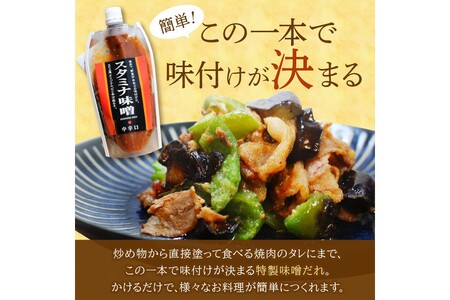 味付け簡単！特製味噌ダレ「スタミナ味噌」【6カ月定期便】調味料 味噌 みそ タレ たれ 味噌だれ 定期便 スタミナ 焼肉のタレ 野菜炒め 回鍋肉 ホルモン にんにく【A5-246】