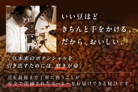 ★特許製法★きれいなコーヒードリップバッググァテマラ（75袋）【A2-123】ドリップコーヒー 珈琲 ドリップ ブレンド 焙煎度 ブレンドドリップ ふるさと納税 飯塚市 朝活 カフェオレ 