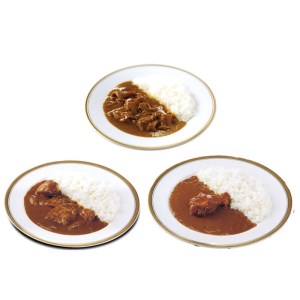 工場直売「いいづかカレー」3種のカレー15食セット【B3-053】レトルト カレー 詰め合わせ ふるさと納税 カレー 飯塚市 レトルト セット チキンカレー ポークカレー ビーフカレー