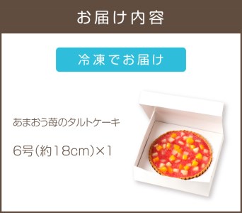 あまおう苺のタルトケーキ 6号(約18cm)4～6人分【A4-032】