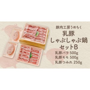 乳豚 しゃぶしゃぶ鍋Ｂセット(バラ・モモ・つみれ)【A5-405】