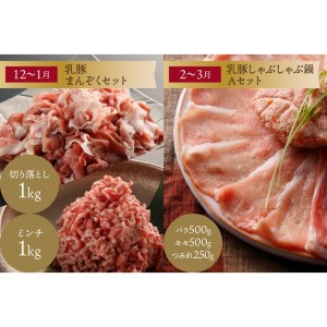 乳豚バラエティ定期便【隔月・年6回定期便】豚 豚肉 ステーキ ロース 餃子 メンチカツ ハンバーグ しゃぶしゃぶ 鍋 バラ つみれ 切り落とし ミンチ モモ 定期便 隔月 6回 6 福岡県 飯塚市 乳豚【I-008】