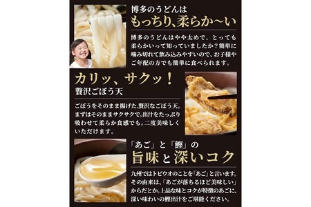 博多ごぼう天うどん 12食セット博多 ごぼう ごぼう天 うどん スープ付き【A5-431】