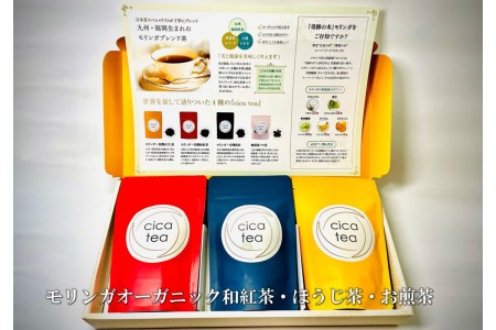 モリンガオーガニック和紅茶・ほうじ茶・お煎茶【A5-437】