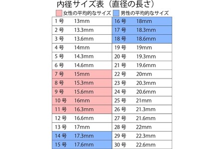 結婚指輪 ペアリング ウィロメナ【N70-001】