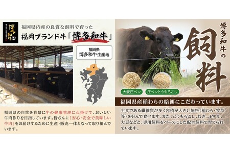 博多和牛 肩ロース焼肉用・スライス(福岡県産 博多和牛 上質 肉汁 芳醇な風味 焼肉 肩ロース)【C2-020】