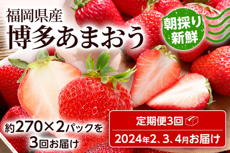 ふるさと納税】【定期便】農家直送 朝どり新鮮いちご【博多あまおう