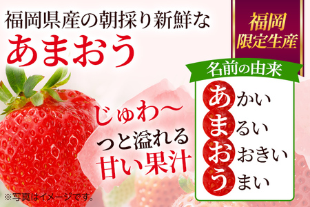 ふるさと納税】【定期便】農家直送 朝どり新鮮いちご【博多あまおう