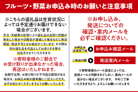 2024年8月より発送】福岡限定ブランド いちじく「とよみつひめ」 約1kg